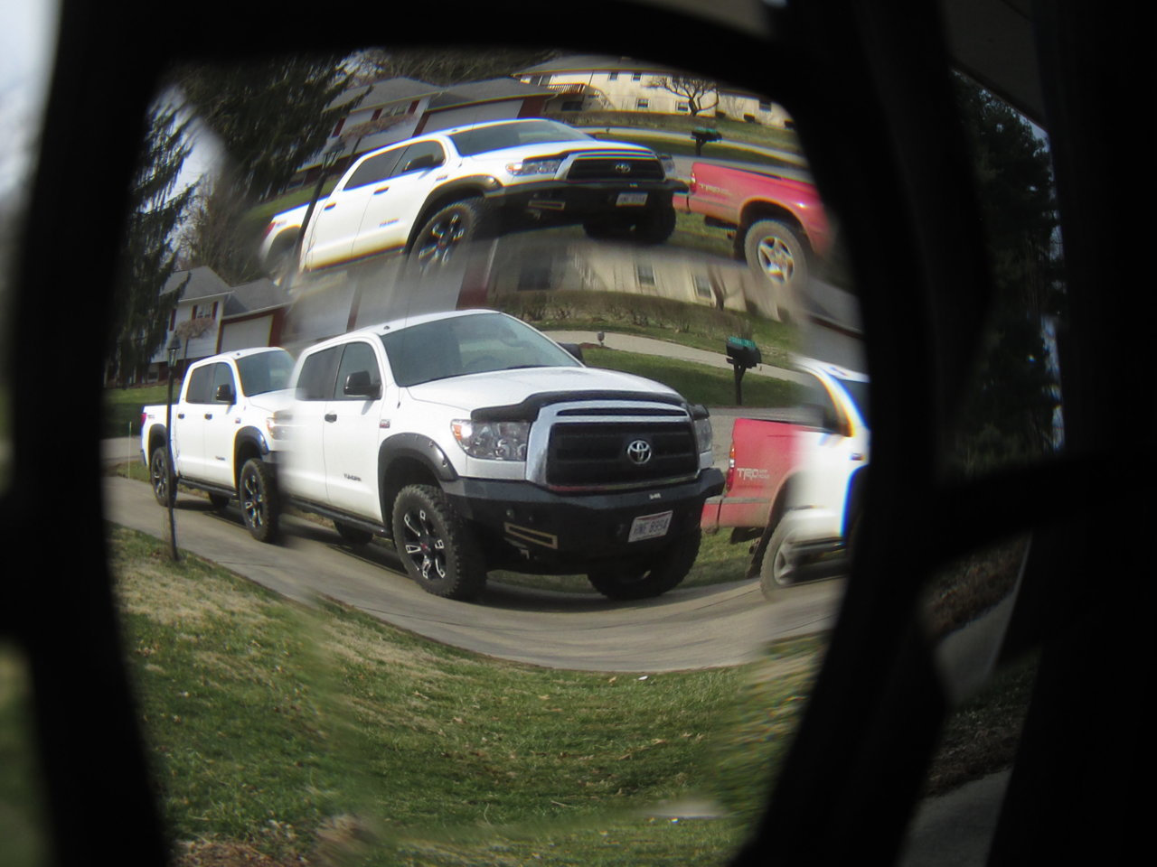 IMG_1768.jpg