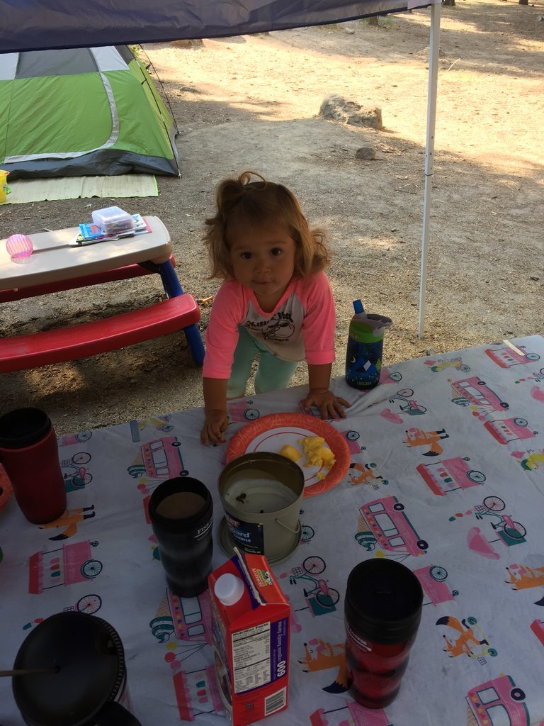 IMG_1774.jpg