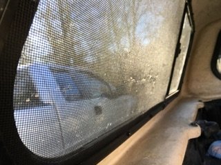 IMG_1786.jpg
