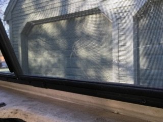 IMG_1790.jpg