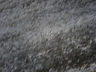 IMG_1809_2e68d3c3c3bcae3a66b4ebb3fd090778535d7146.jpg