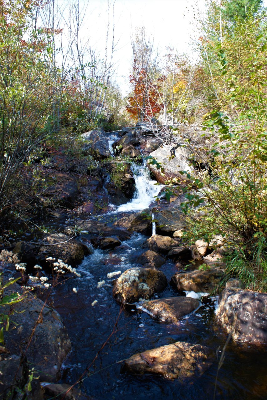 IMG_1817.jpg