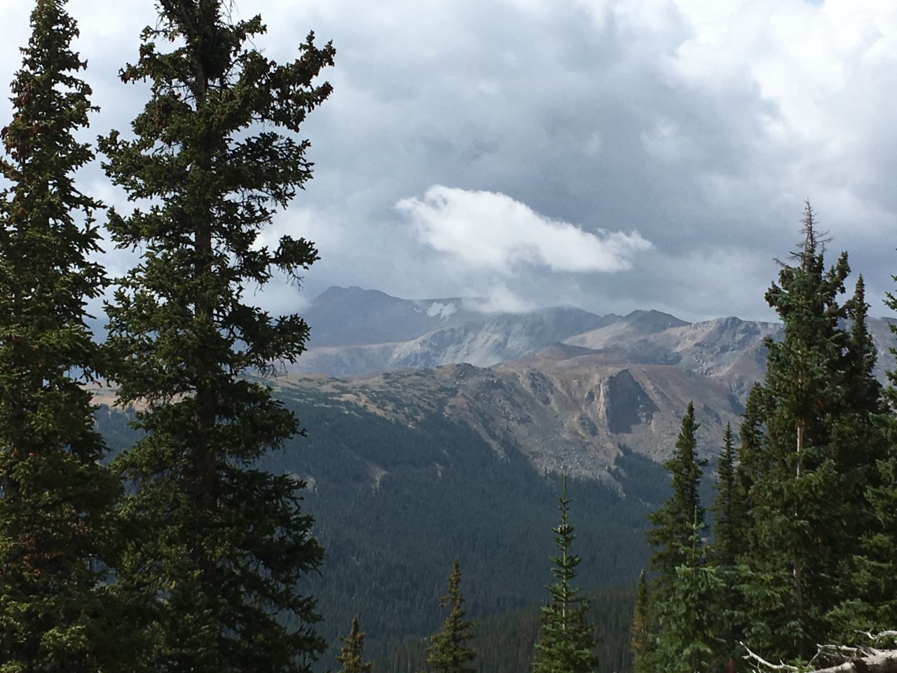 IMG_1820.jpg