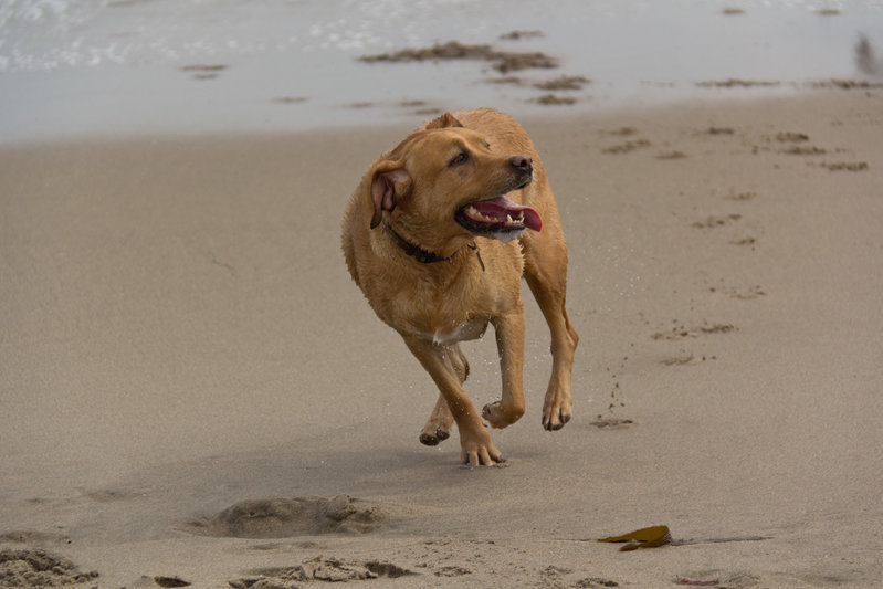 IMG_1873-1903x1269[1].jpg