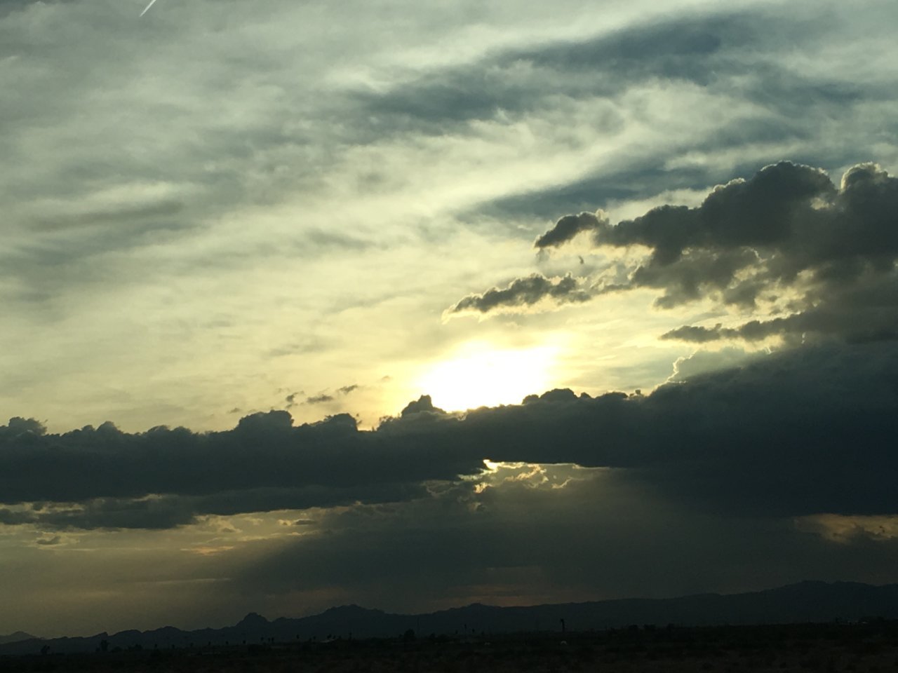 IMG_1894.jpg