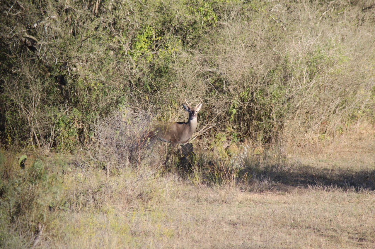 IMG_1907.jpg
