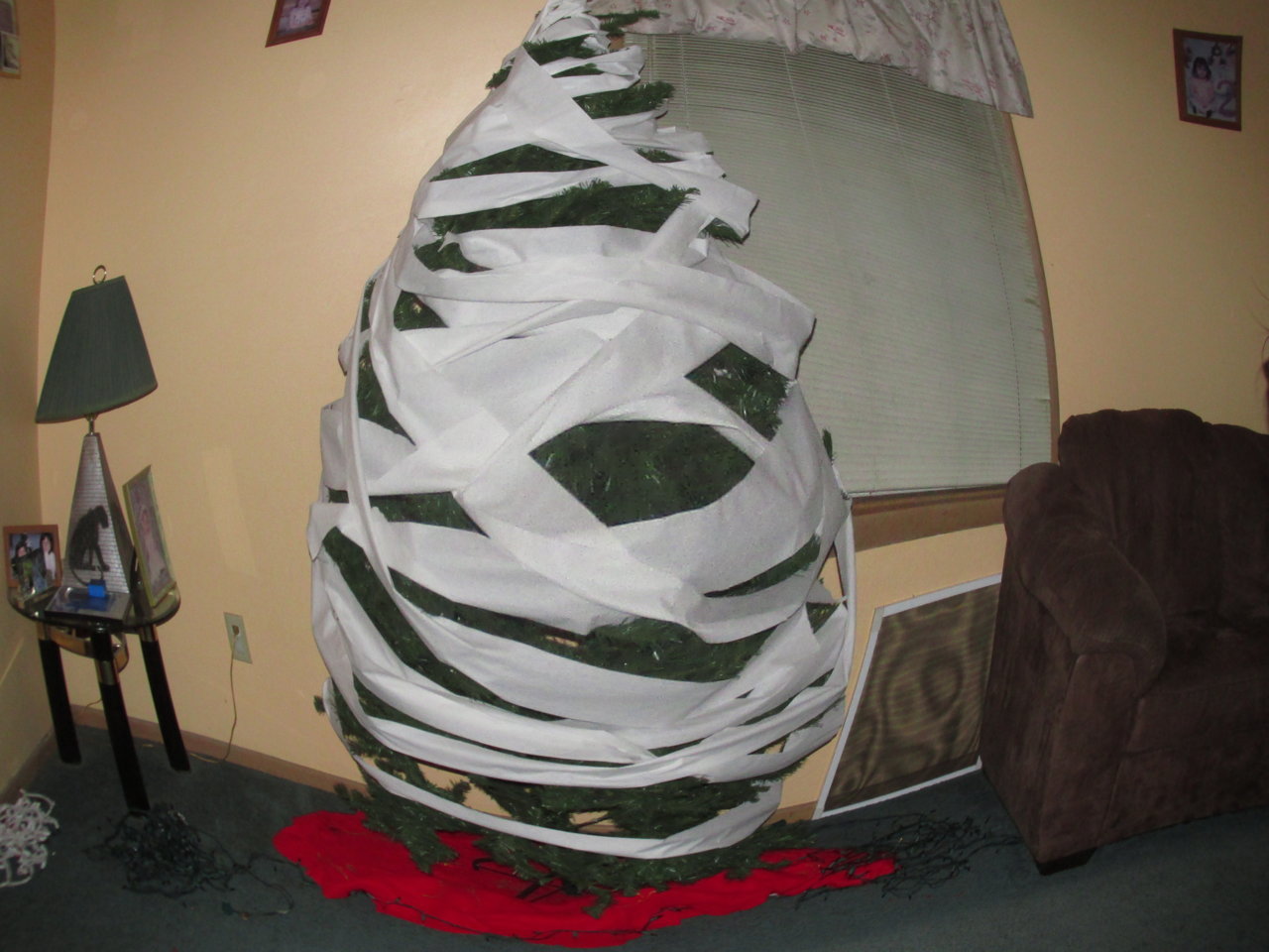 IMG_1924.jpg