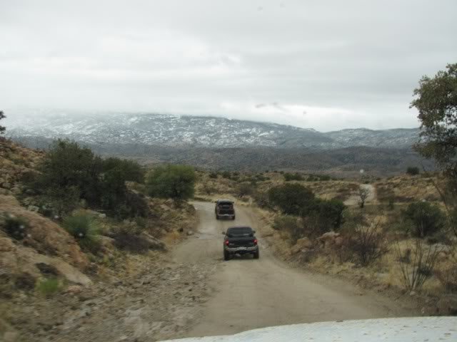 IMG_1925_c20afb343653046835449b34af056557a3da7324.jpg