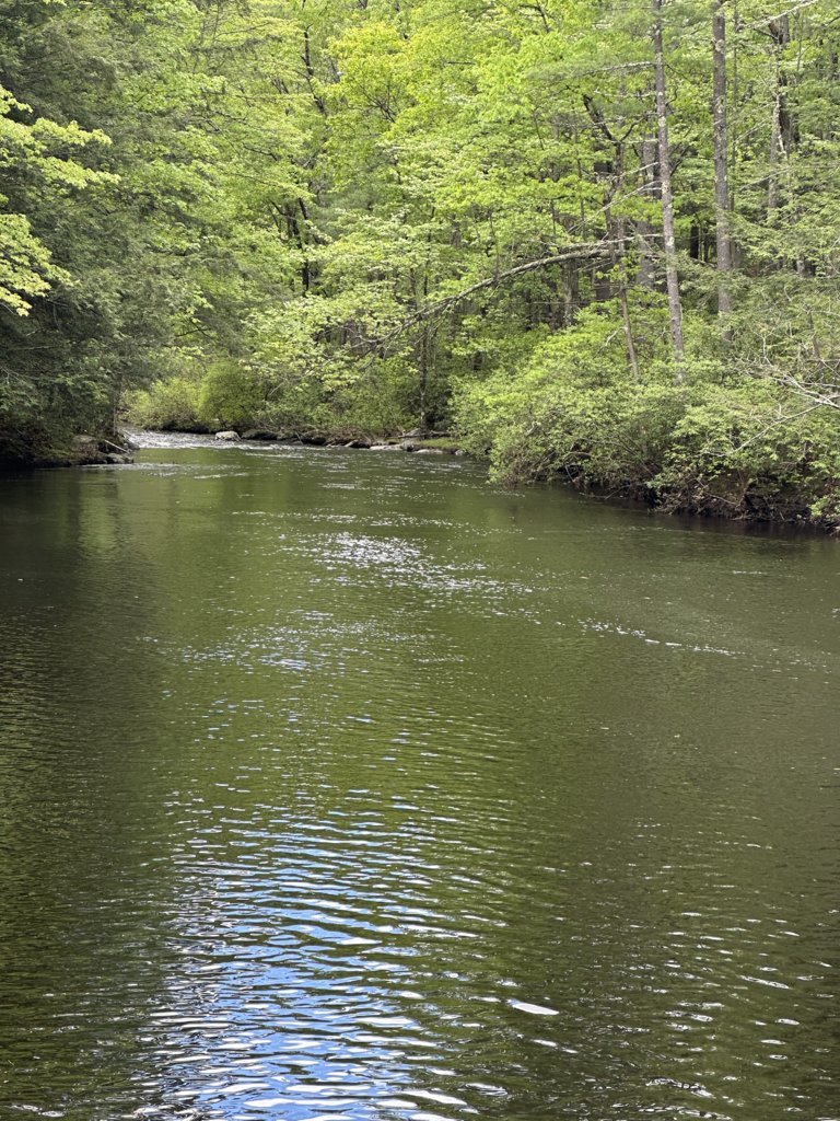 IMG_1974.jpg