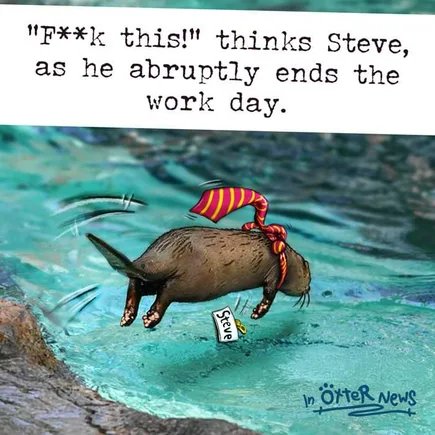 IMG_1985.png