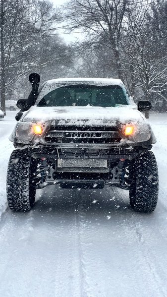 IMG_1986.jpg