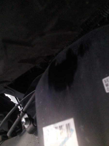 IMG_20120104_172323.jpg