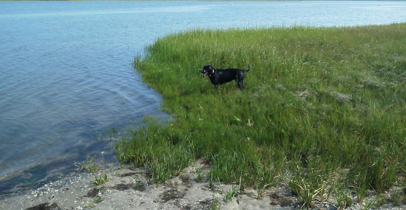 IMG_20120803_092110.jpg
