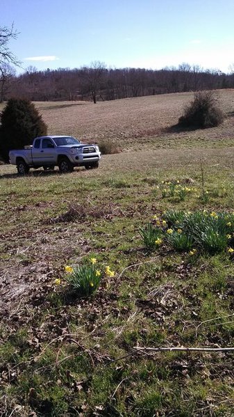 IMG_20130217_154407_556.jpg