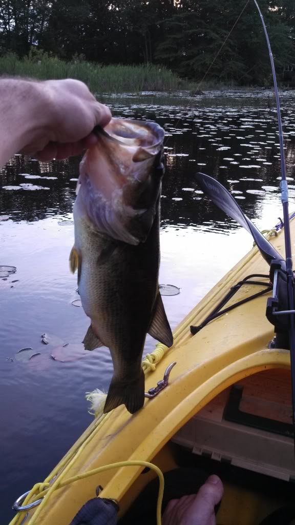 Anyone with experience trolling with rods behind their kayak? I can't bring  my fishing yak to my in laws' cottage, so I had to modify their rec kayaks  I bought them. I've