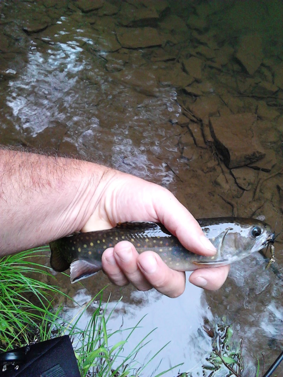 IMG_20130713_071947.jpg