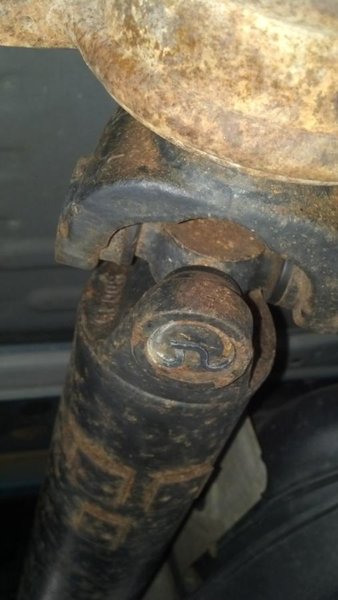IMG_20131009_132639_705.jpg
