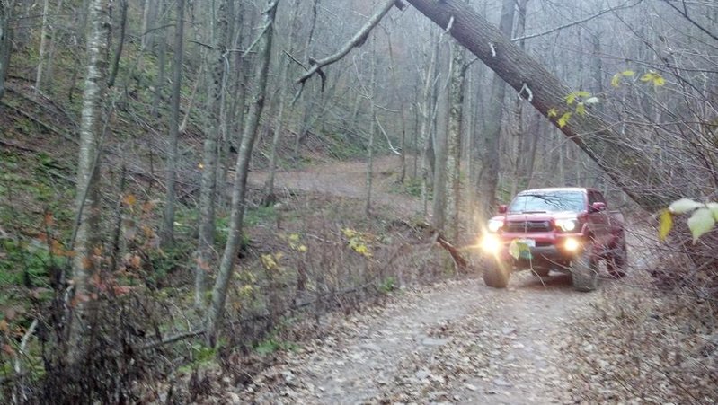 IMG_20131110_163815_023.jpg