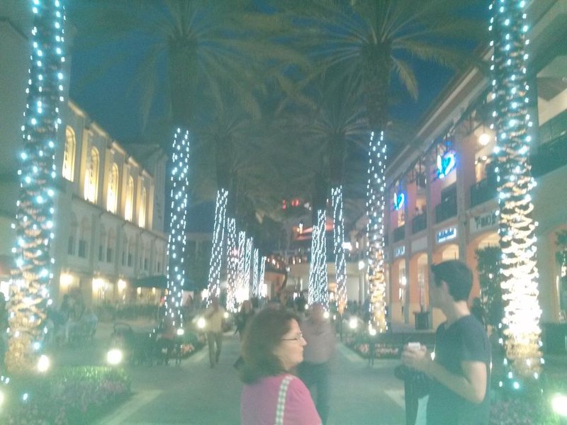 IMG_20140221_184210_104.jpg