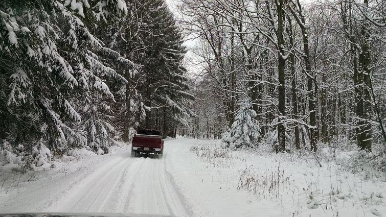 IMG_20141128_125020841.jpg