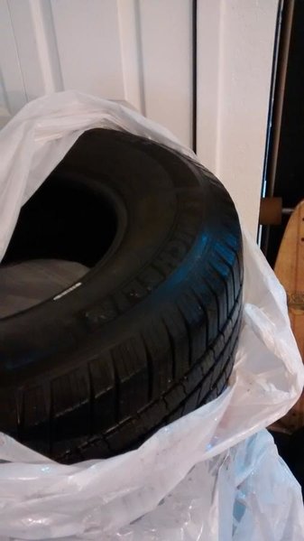 IMG_20150226_195309005.jpg