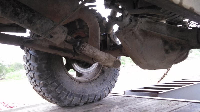 IMG_20150517_173110_911[1].jpg