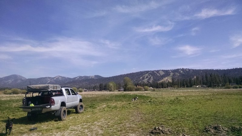 IMG_20150530_160138186.jpg