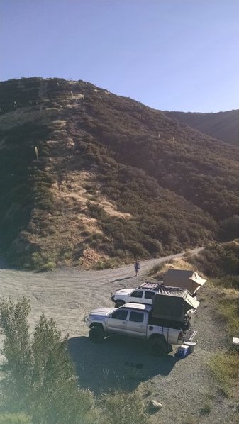 IMG_20150620_074217548.jpg