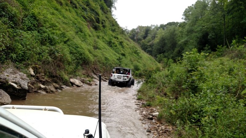 IMG_20150711_113024406.jpg