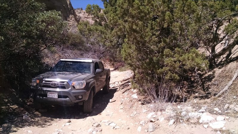 IMG_20150712_142615767[1].jpg