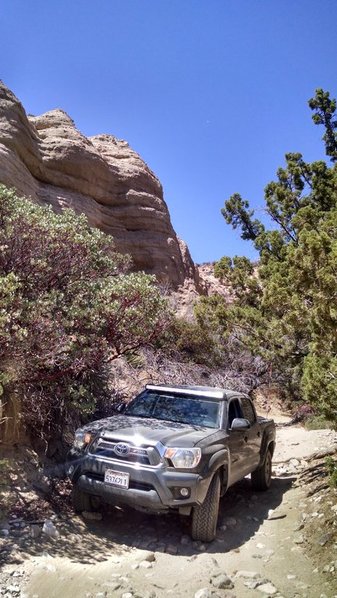 IMG_20150712_142619640_HDR[1].jpg