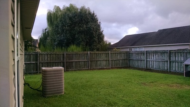 IMG_20150807_194646495.jpg