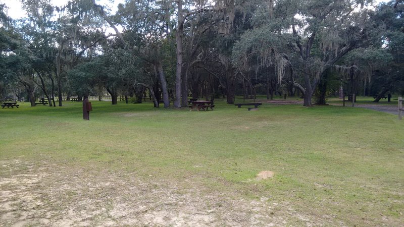 IMG_20151007_151805402.jpg