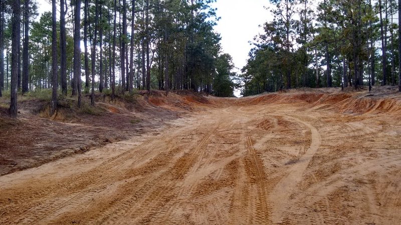 IMG_20151007_160058551_HDR.jpg