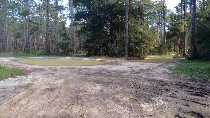 IMG_20151007_163131081.jpg