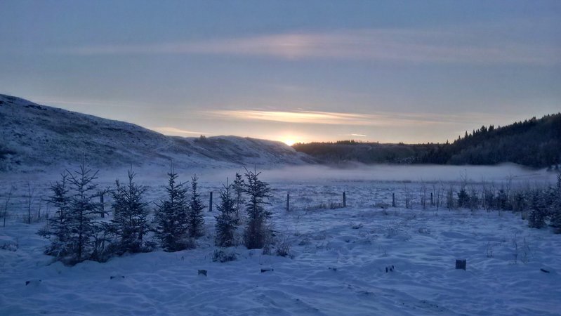 IMG_20151229_085928_hdr.jpg