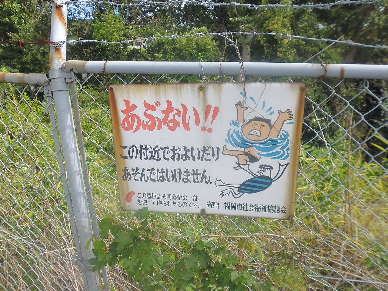 IMG_2016.png