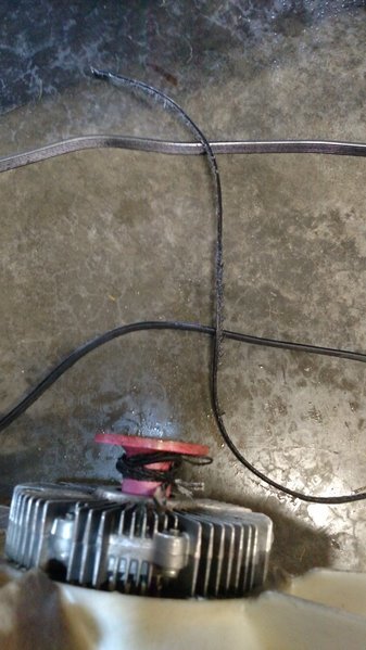 IMG_20160214_131152879.jpg