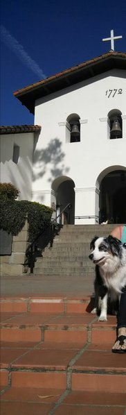 IMG_20160301_201830.jpg