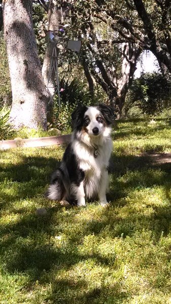 IMG_20160416_143054830.jpg