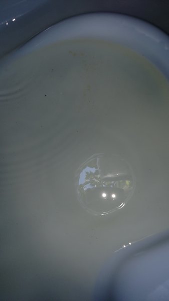 IMG_20160601_162814920.jpg