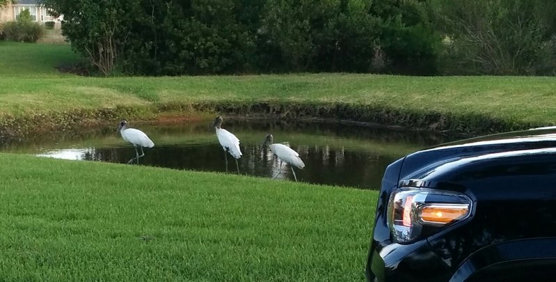 IMG_20160624_180527.jpg