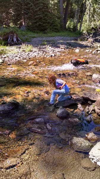 IMG_20160723_134410860_HDR.jpg