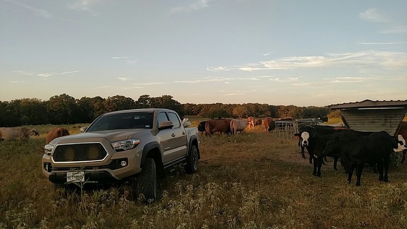 IMG_20160805_201521.jpg