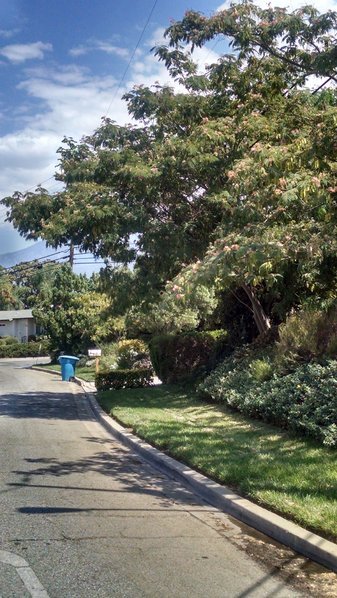 IMG_20160830_123306209_HDR.jpg