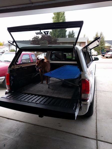 Truck bed outlet cot