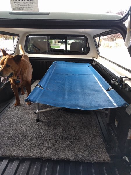 truck bed cot