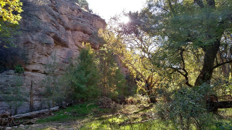 IMG_20161015_082819436_HDR.jpg