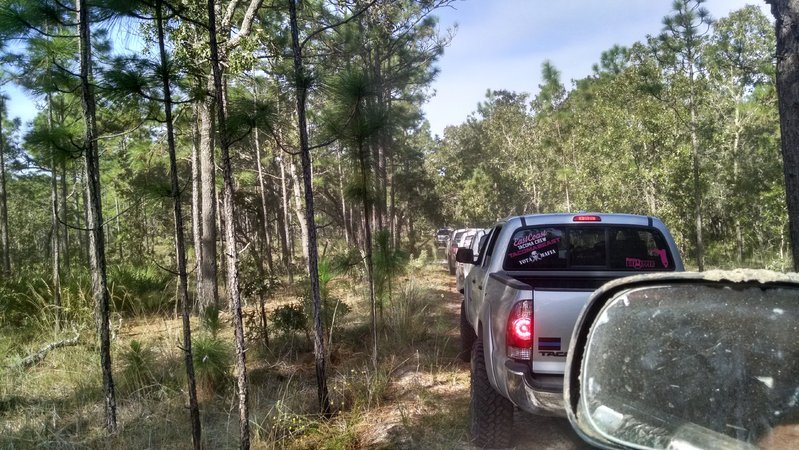 IMG_20161015_095823239_HDR.jpg