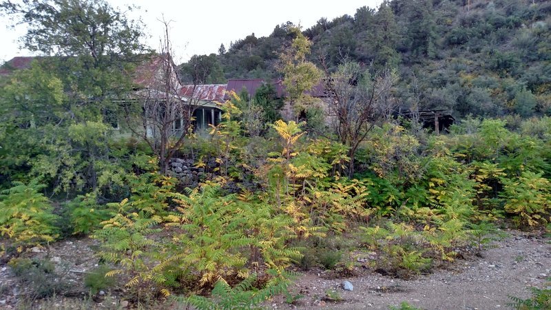 IMG_20161015_174424635_HDR.jpg